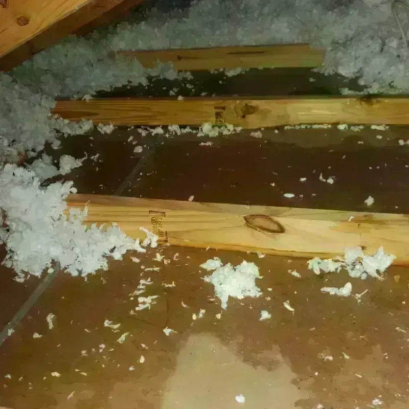 Attic Water Damage in Lake Odessa, MI